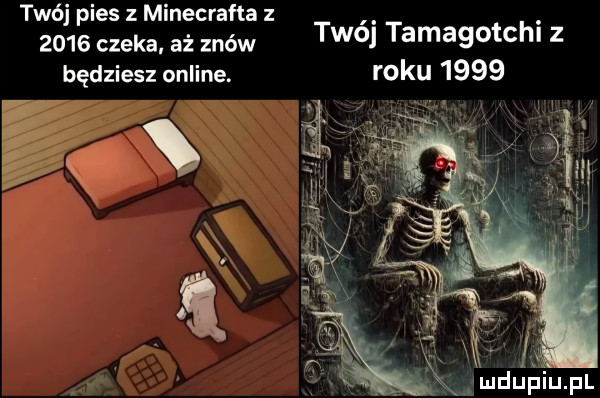 twój pies z minecrafta z. abakankami      czeka. aż znów tao tamagomh z będziesz online. roku      ix ludu hiupl