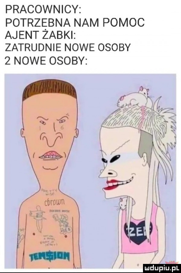 pracownicy potrzebna nam pomoc aj ent żabki zatrudnie nowe osoby   nowe osoby. i mdupiael