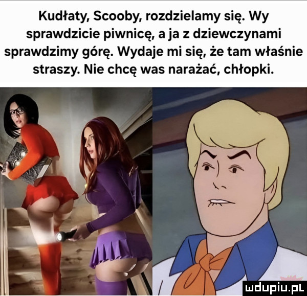 kudłaty. scoopy rozdzielamy się. wy sprawdzicie piwnicę aja z dziewczynami sprawdzimy górę. wydaje mi się że tam właśnie straszy. nie chcę was narażać chłopki