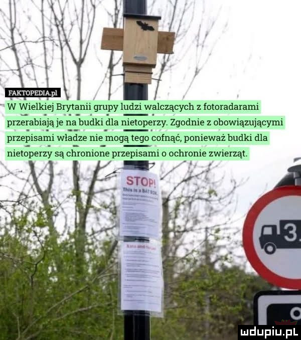 przepisami w d ze nie mogą tego cofnąć ponieważ budki dla nietoperzy są chronione przepisami o ochronie zwierząt. h