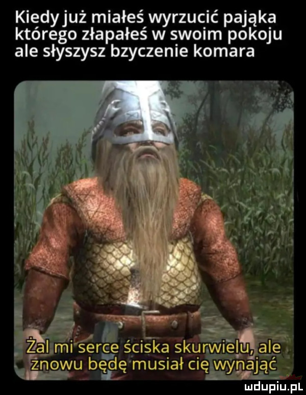 kiedyjuż miałeś wyrzucić pająka którego złapałeś w swoim pokoju ale słyszysz bzyczenie komara ere sci ka siu iglu a e. u. obu bgeie musiakie iwymaqu