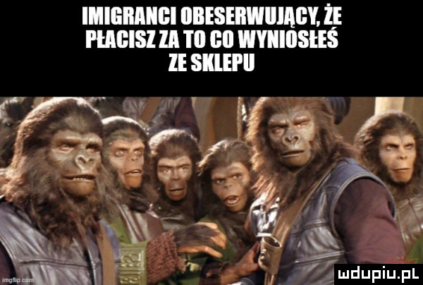 imiemiigi iibeseiiwiiiagy. ż hans ll i il gl wyiiiiisiis le sllil ll  . abakankami gg i amdupiupl. j i