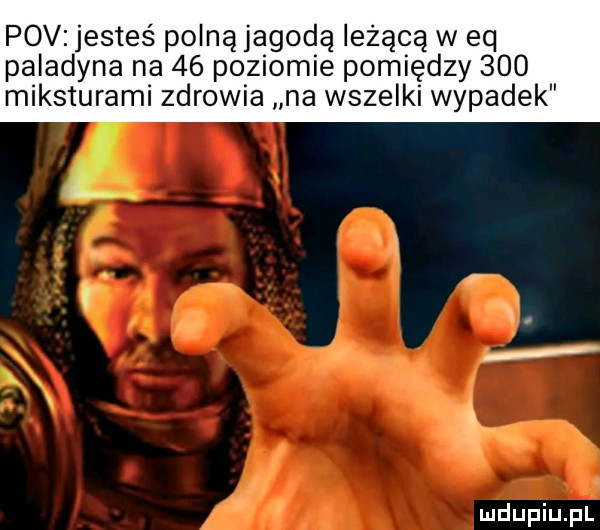 pcv jesteś polną jagodą leżącą w eq paladyna na    poziomie pomiędzy     miksturami zdrowia na wszelki wypadek
