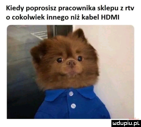 kiedy poprosisz pracownika sklepu z rtv o cokolwiek innego niż kabel hdmi ludu iu. l