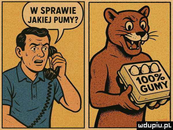 w sprawie jakiej pumy mduplu pl