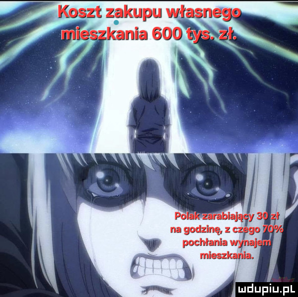 koszt zakupu własne
