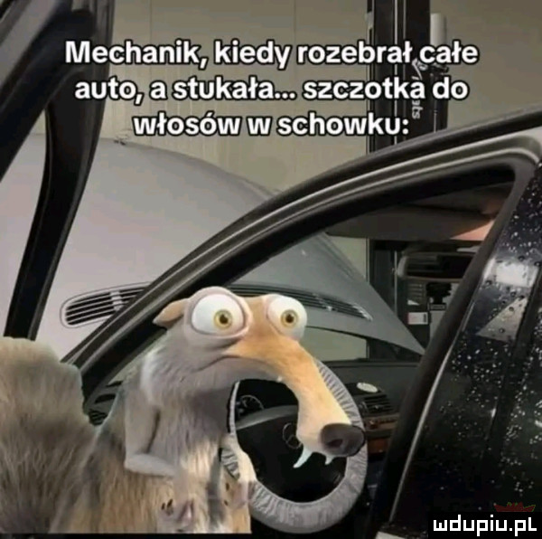 Obrazek