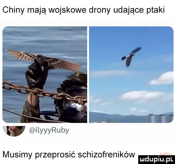 chiny mają wojskowe drony udające ptaki ilynyuby musimy przeprosić schizofreników