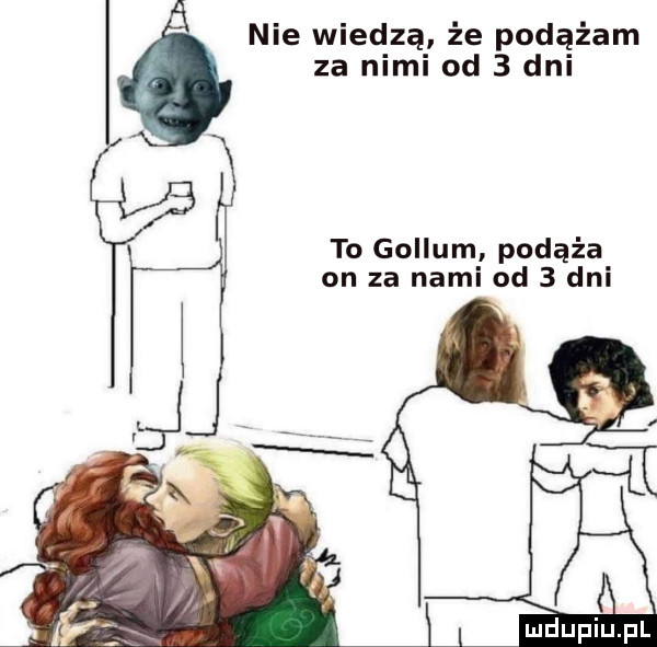 nie wiedzą że podążam za nimi od   dni to gollum podąża on za nami od   dni