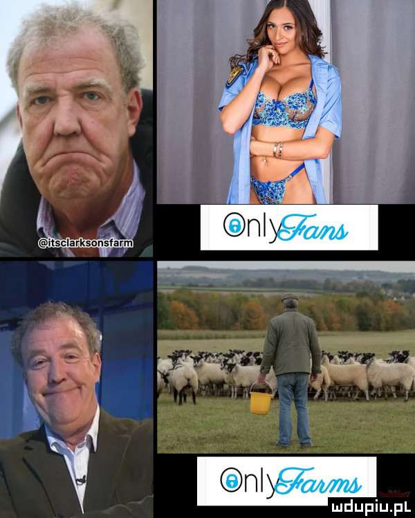 Obrazek