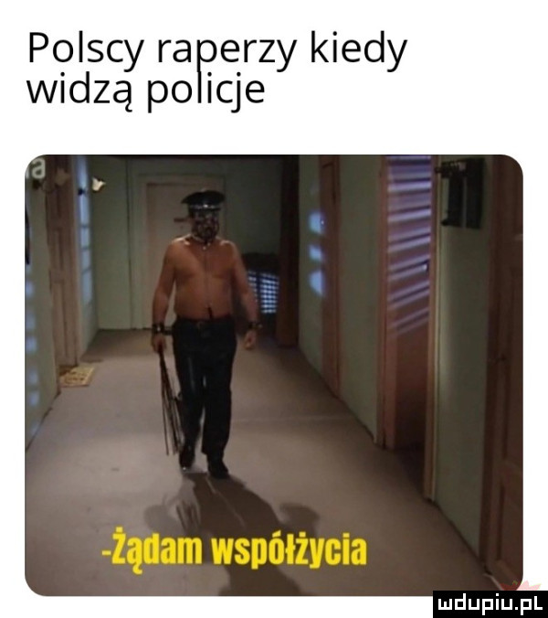 polscy ra e rzy kiedy widzą po ilje