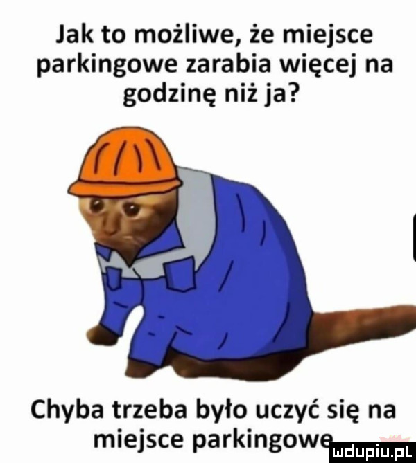 jak to możliwe że miejsce parkingowe zarabia więcej na godzinę niż ja chyba trzeba było uczyć się na miejsce parkingowym