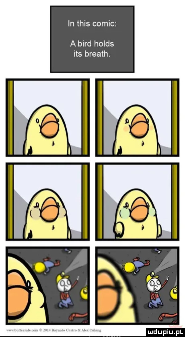 in tais comic a bird holds ihs breath