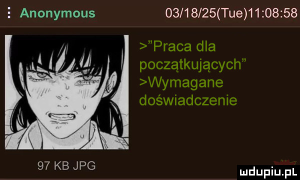 e anonymous          tee          praca dla początkujących wymagane doświadczenie    kb jpg