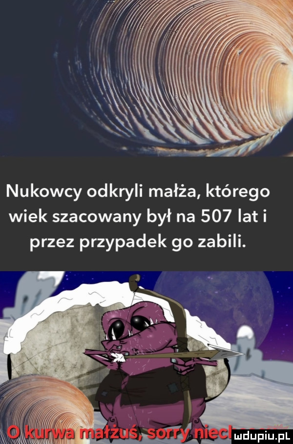 nukowcy odkryli małża którego wiek szacowany był na     lat i przez przypadek go zabili. abakankami a i mduplu pl