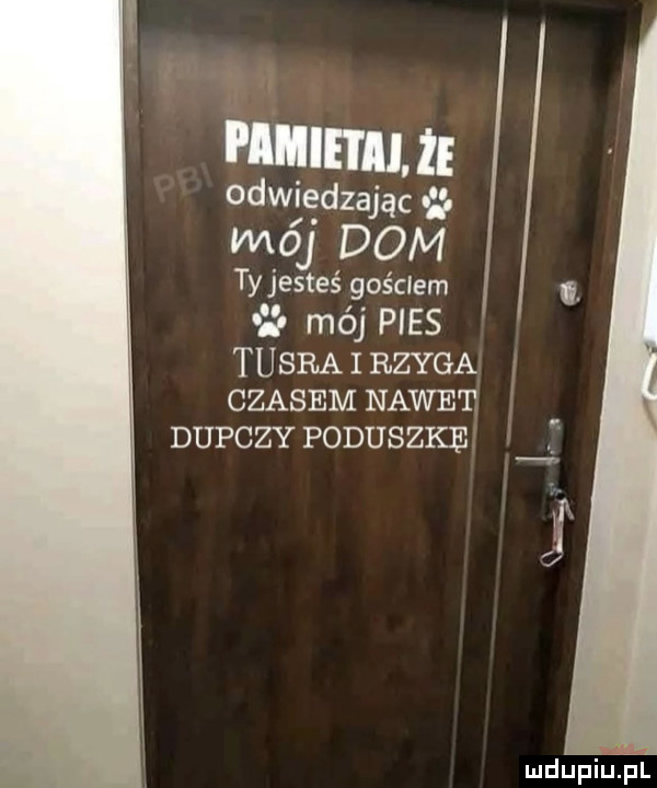 pimiitijje odwjędzając hu moj dom tyjesteś gościem.     mój pies tuska i rzyga czasem nawet dupczy poduszkę x mdupiuiel