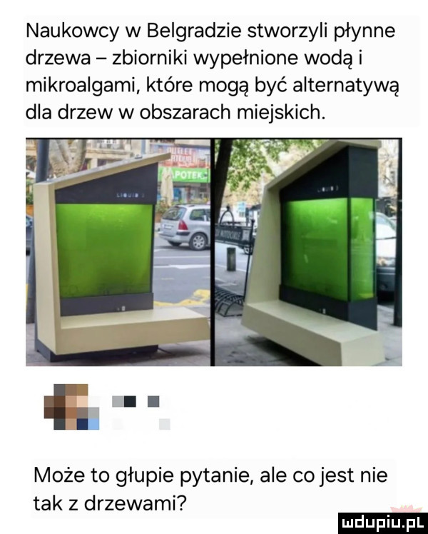 naukowcy w belgradzie stworzyli płynne drzewa zbiorniki wypełnione wodą i mikroalgami które mogą być alternatywą dla drzew w obszarach miejskich. może to głupie pytanie ale co jest nie tak z drzewami