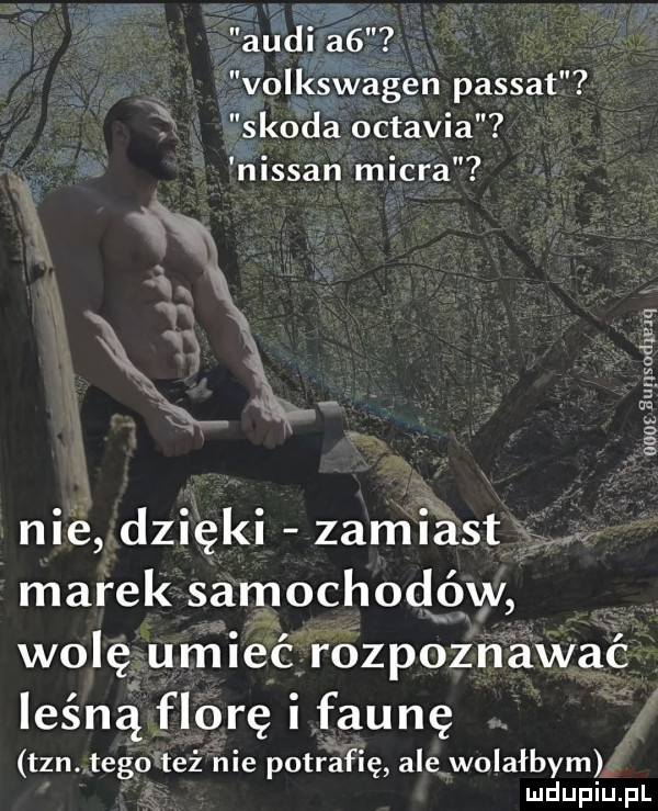 audi a  volkswagen passat skoda octavia nissan micra a x   ż nie dzięki zamkixast marek samochodów wolę umiećrozpoznawać leśną florę i faunę tan. tego też nie potrafię ale wolałbym
