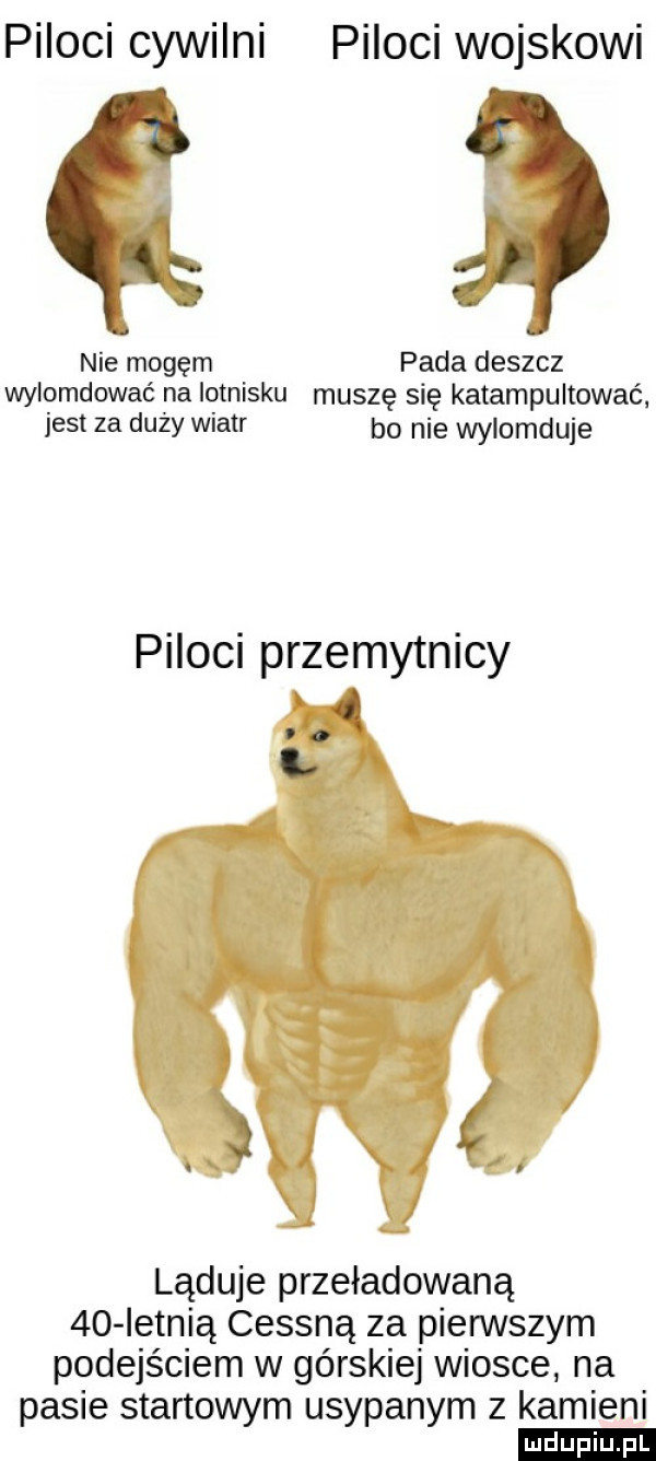 piloci cywilni piloci wojskowi nie mogęm pada deszcz wylomdować na lotnisku muszę się katampultować jest za duzy wiatr bo nie wylomduje piloci przemytnicy i. ląduje przeładowaną    ietnią cessną za pierwszym podejściem w górskiej wiosce na pasie startowym usypanym z kamieni