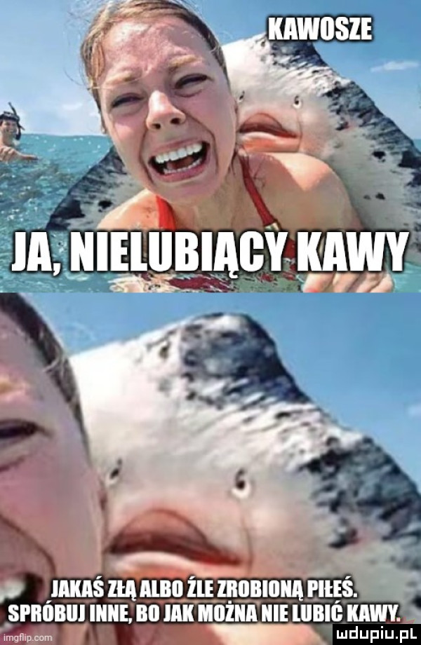 ludupiu. pl