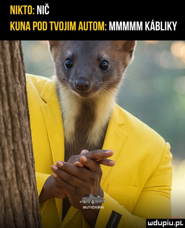 b a k m m m m m