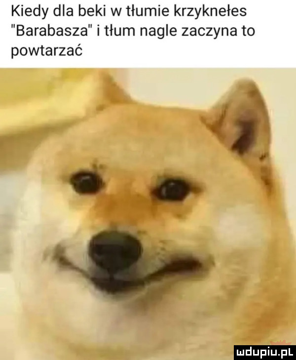 kiedy dla beki w tłumie krzyknełes barabasza i tłum nagle zaczyna to powtarzać. w c ludu iu. l