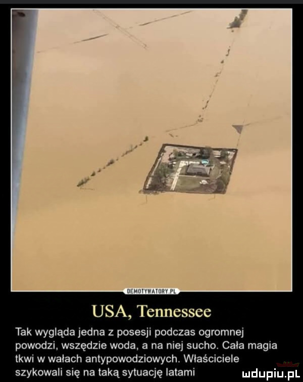 usa tennessee tak wygląda jedna z posesji podczas ogromnej powodzi. wszędzie woda. a na niej sucho. chia magia tkwi w wsiach antypowodziowych. właściciele szykowali się na taką sytuację latami