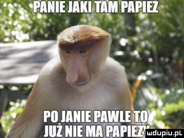 iiiiieiiikii im papież   rumu ma iż em mipiipimi iduwu. pl