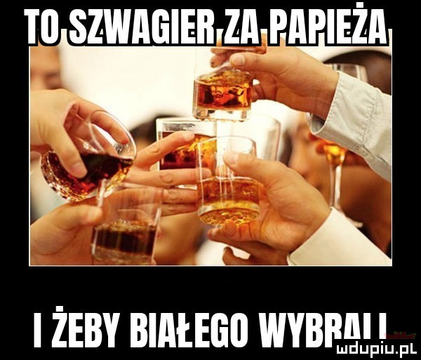 tl szwagiebiza apieża i żeby białego wybfni