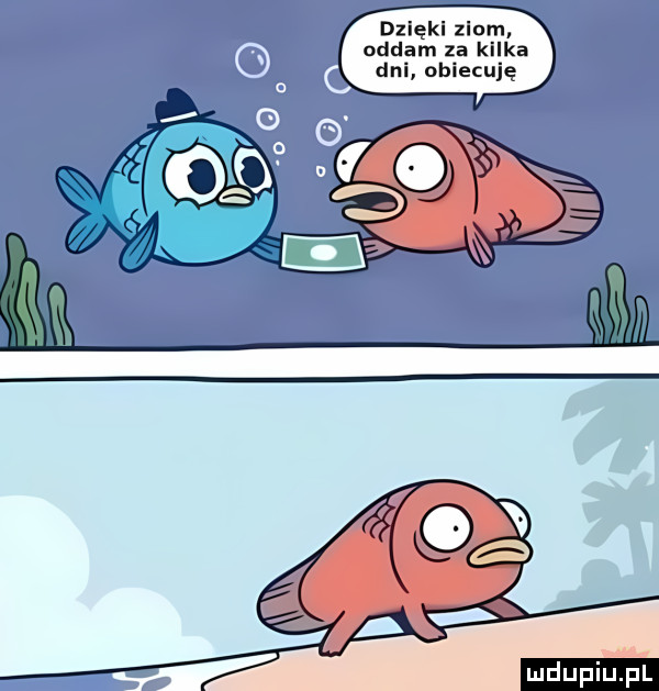 upiu pl