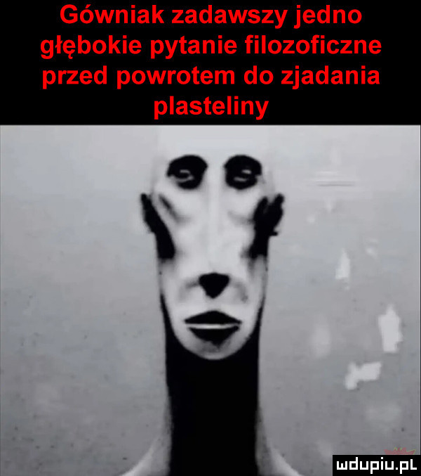 górniak zadawszy jedno głębokie pytanie filozoficzne przed powrotem do zjadania plasteliny