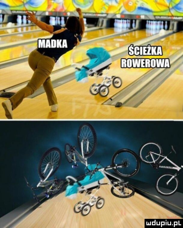 mdupi pl
