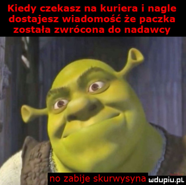 kiedy czekasz na kuriera i nagle dostajesz wiadomość że paczka została zwrócona do nadawcy  . no zabije skurwysyna mdupiuﬁi