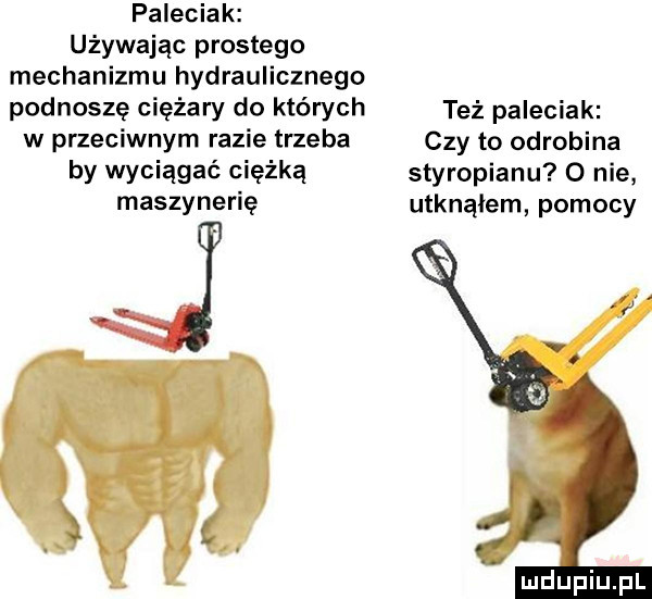 paleciak używając prostego mechanizmu hydraulicznego podnoszę ciężary do których też paleciak w przeciwnym razie trzeba czy to odrobina by wyciągać ciężką styropianu o nie maszynerię utknąłem pomocy ę v