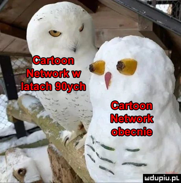 net werk obecnie ludu iu. l