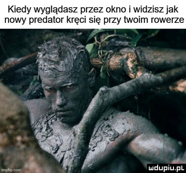 kiedy wyglądasz przez okno i widzisz jak nowy predator kręci się przy twoim rowerze