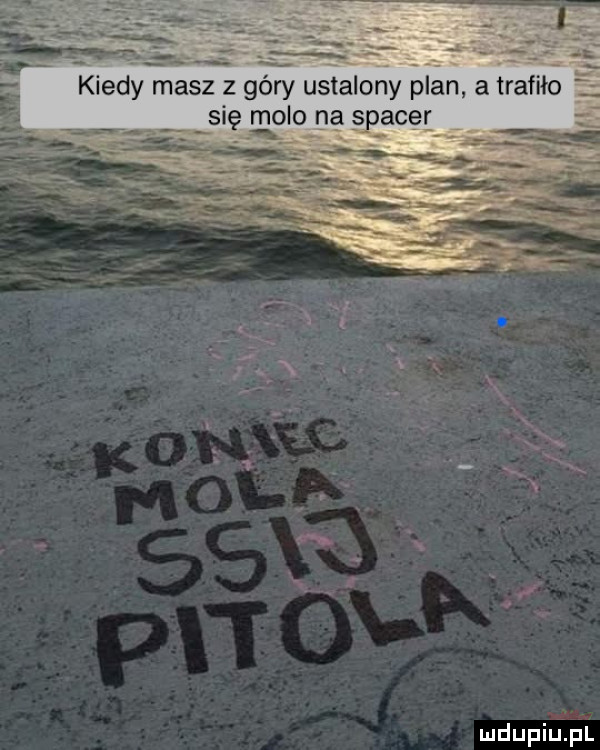 kiedy masz z góry ustalony plan a trafiło się gloso na spacer