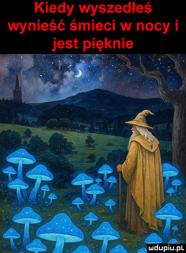 kiedy wyszedłeś wynieść śmieci w nocy i jest pięknie. ja ludupiupl