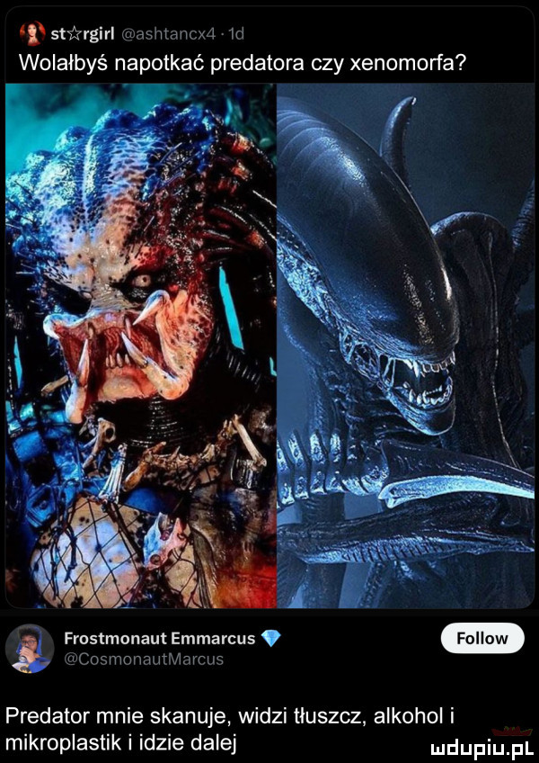 stifzvgirl cnachtancxń id wolałbyś napotkać predatora czy xenomorfa frostmonaut emmarcus w sjcosmonautmachs predator mnie skanuje widzi tłuszcz alkohol i mikroplastik i idzie dalej ndufiu fl