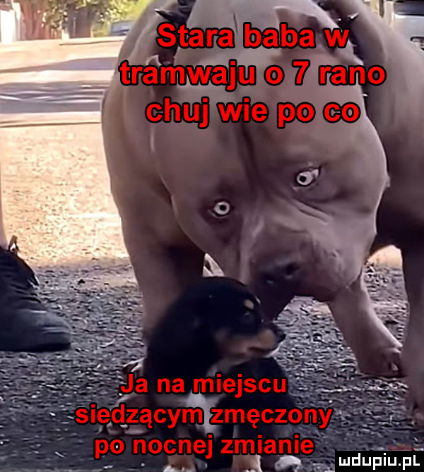 Obrazek