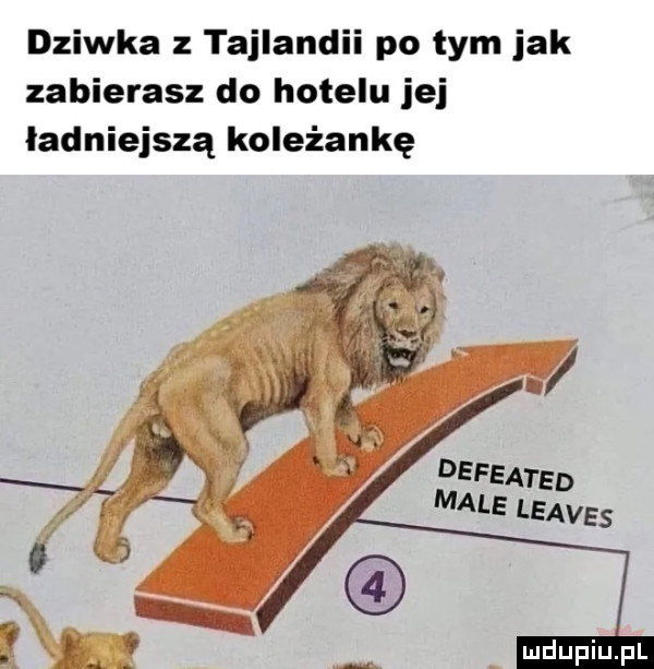 Obrazek