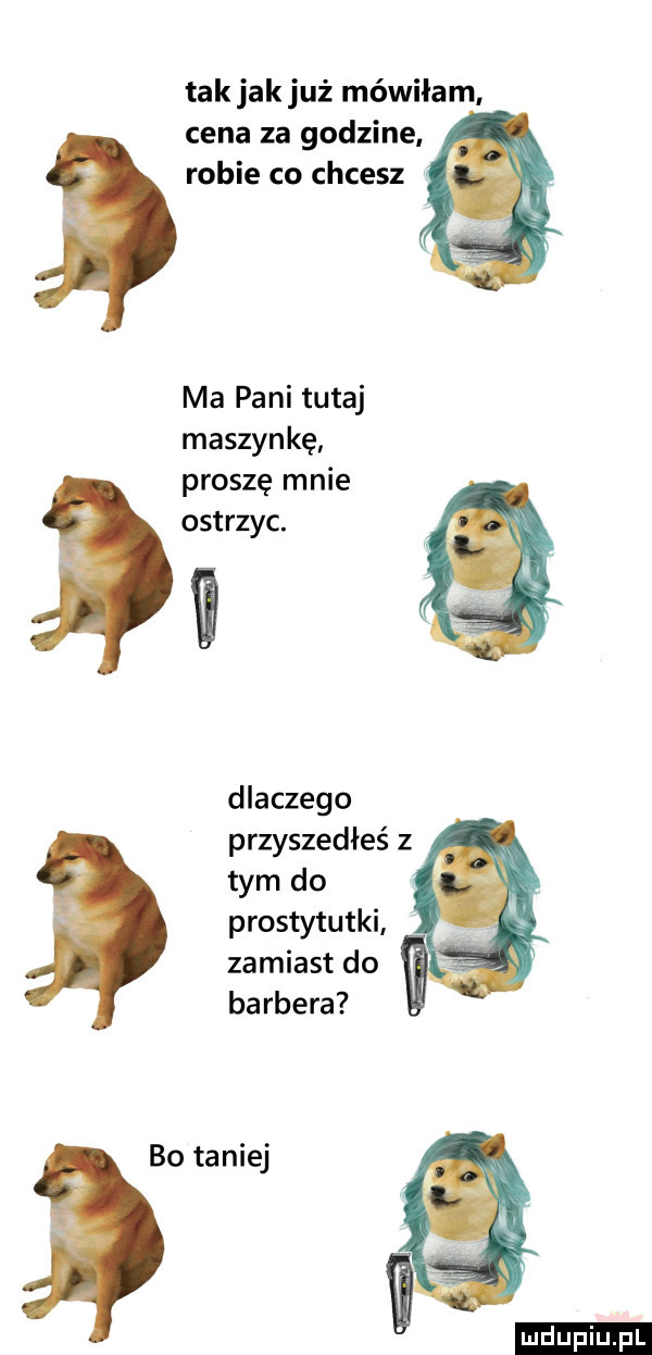 tak jak już mówiłam cena za godzine robie co chcesz ma pani tutaj maszynkę proszę mnie osmyc. dlaczego przyszedłeśz tym do prostytutki zamiast do barbera    taniej md piu. pl
