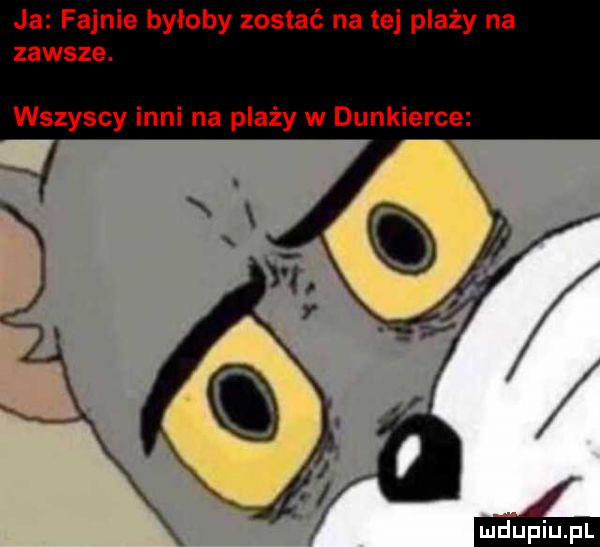 ja fajnie byłoby zostać na tej plaży na zawsze. wszyscy inni na plaży w dunkierce