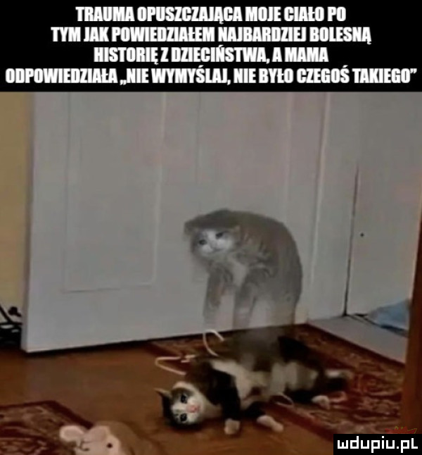 mwmw upr mam mmm mam lu. hmmm immun
