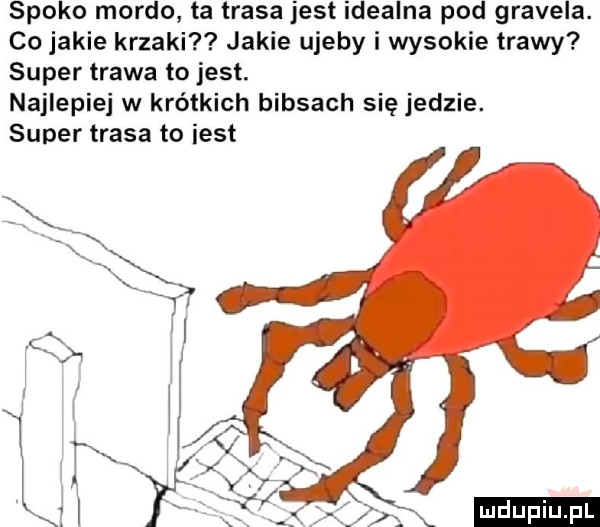 spoko mordo ta trasa jest idealna pod gravesa. co jakie krzaki jakie ujemy i wysokie trawy super trawa to jest. najlepiej w krótkich biasach sięjedzie. super trasa to iest ludu iu. l