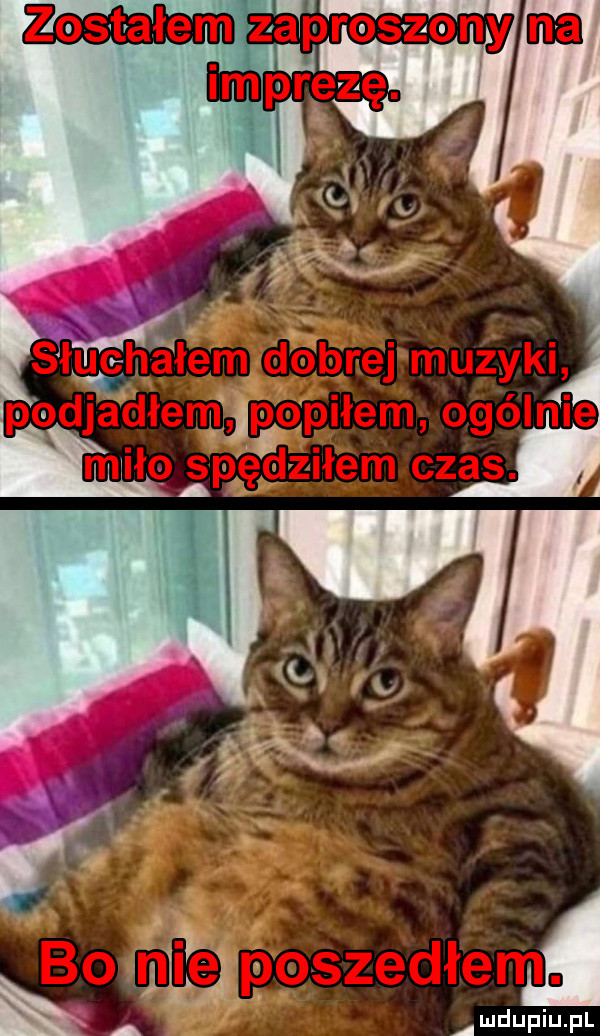 h h amdupiupl