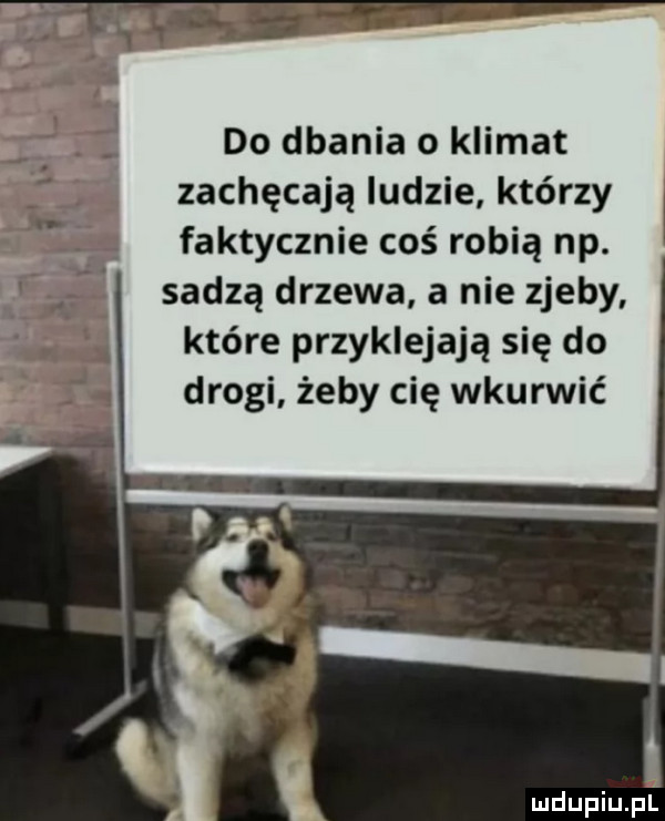 do dbania o klimat zachęcają ludzie którzy faktycznie coś robią np. w sadzą drzewa a nie zjeby. abakankami które przyklejają się do drogi żeby cię wkurwic i
