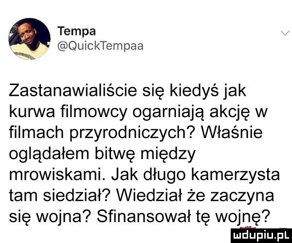 tempa quicktempaa n zastanawialiście się kiedyś jak kurwa filmowcy ogarniają akcję w filmach przyrodniczych właśnie oglądałem bitwę między mrowiskami. jak długo kamerzysta tam siedział wiedział że zaczyna się wojna sfinansował tę wojnę