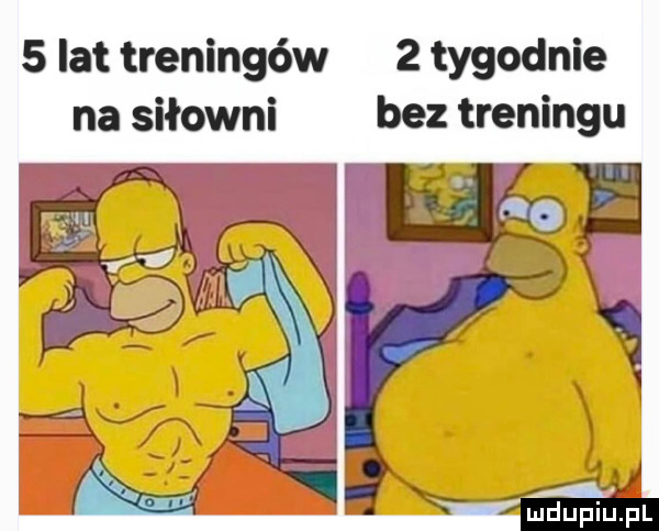 lat treningów   tygodnie na siłowni bez treningu