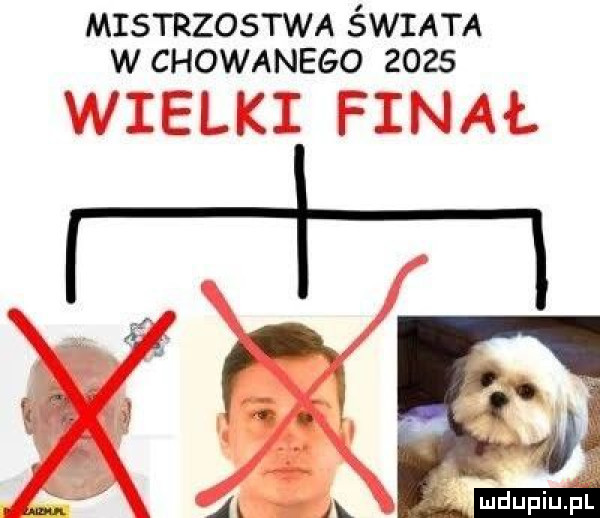 r mistrzostwa świata w chowanego